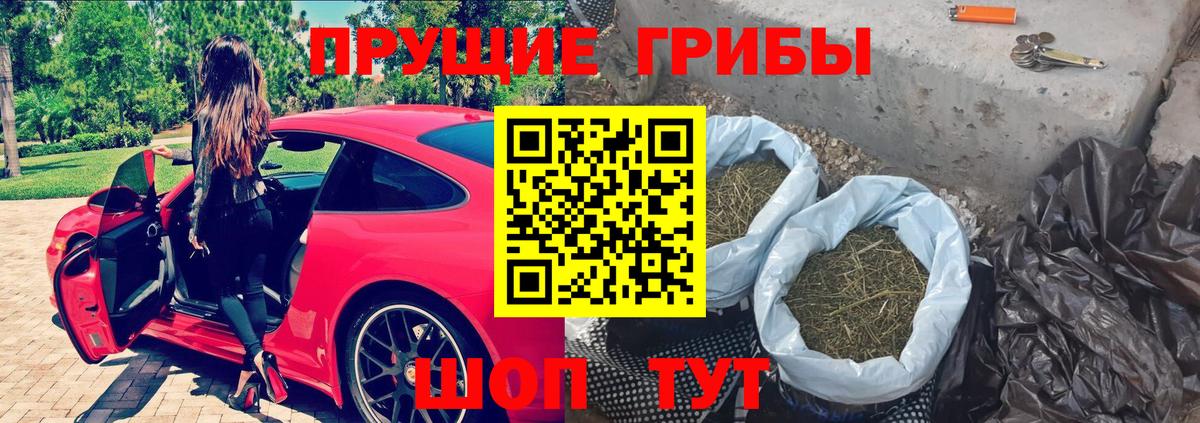 Галлюциногенные грибы Psilocybine cubensis  Вход с VPN  Псилоцибиновые грибы Psilocybe  Светлоград 