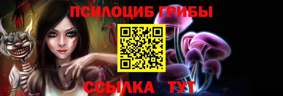 Галлюциногенные грибы мухоморы Светлоград